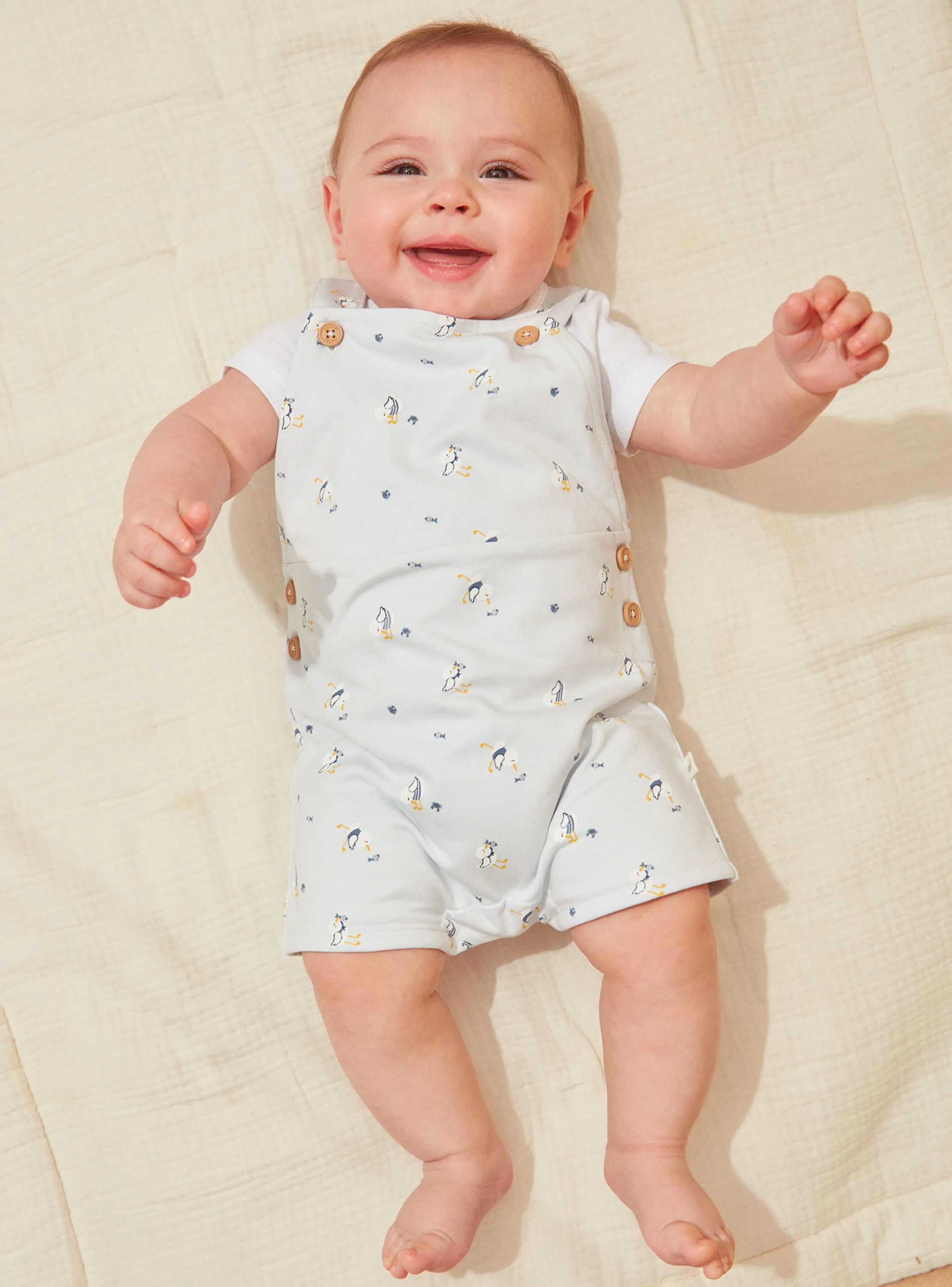 Best Sale Sergent Major Blue sky SET