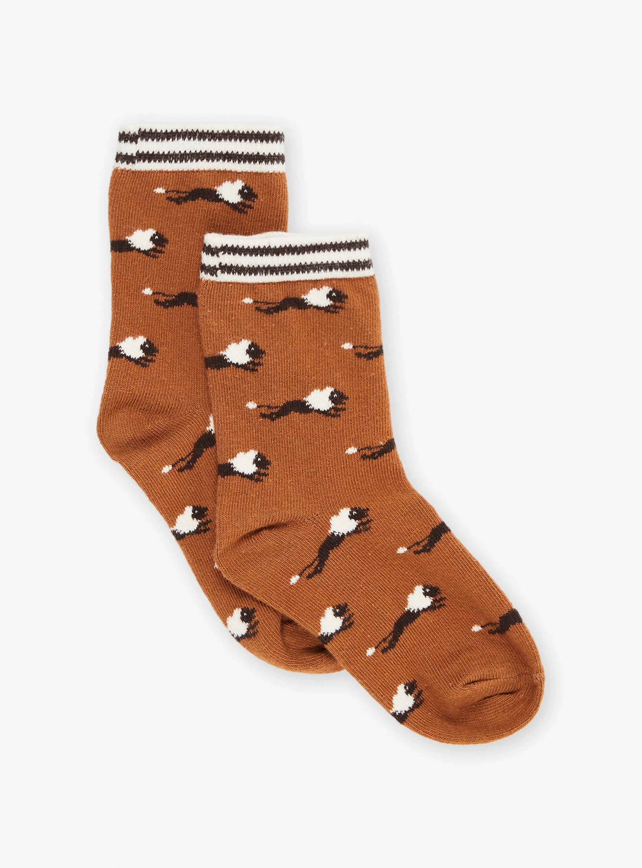 Flash Sale Sergent Major Brown lion-print socks