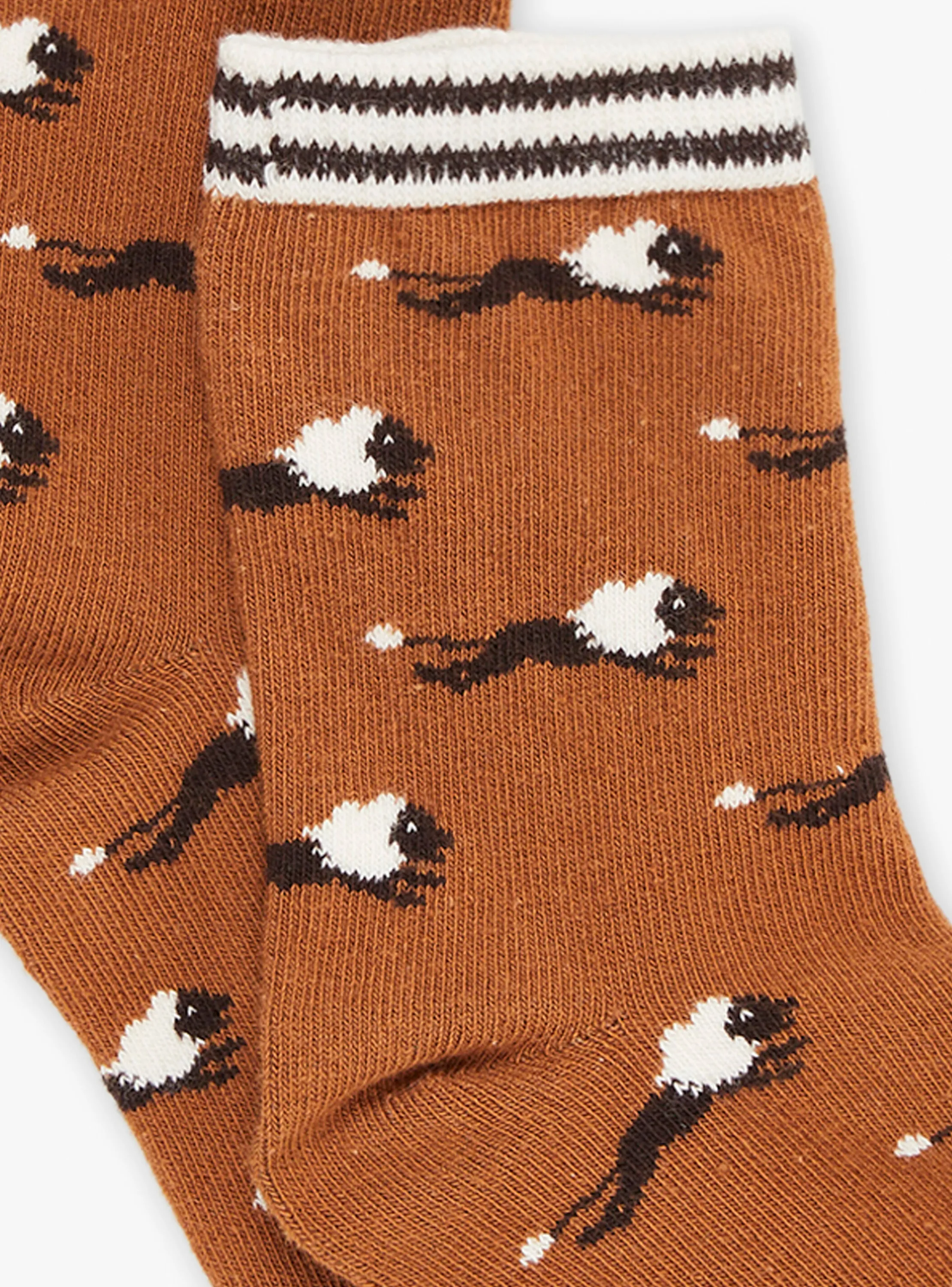 Flash Sale Sergent Major Brown lion-print socks