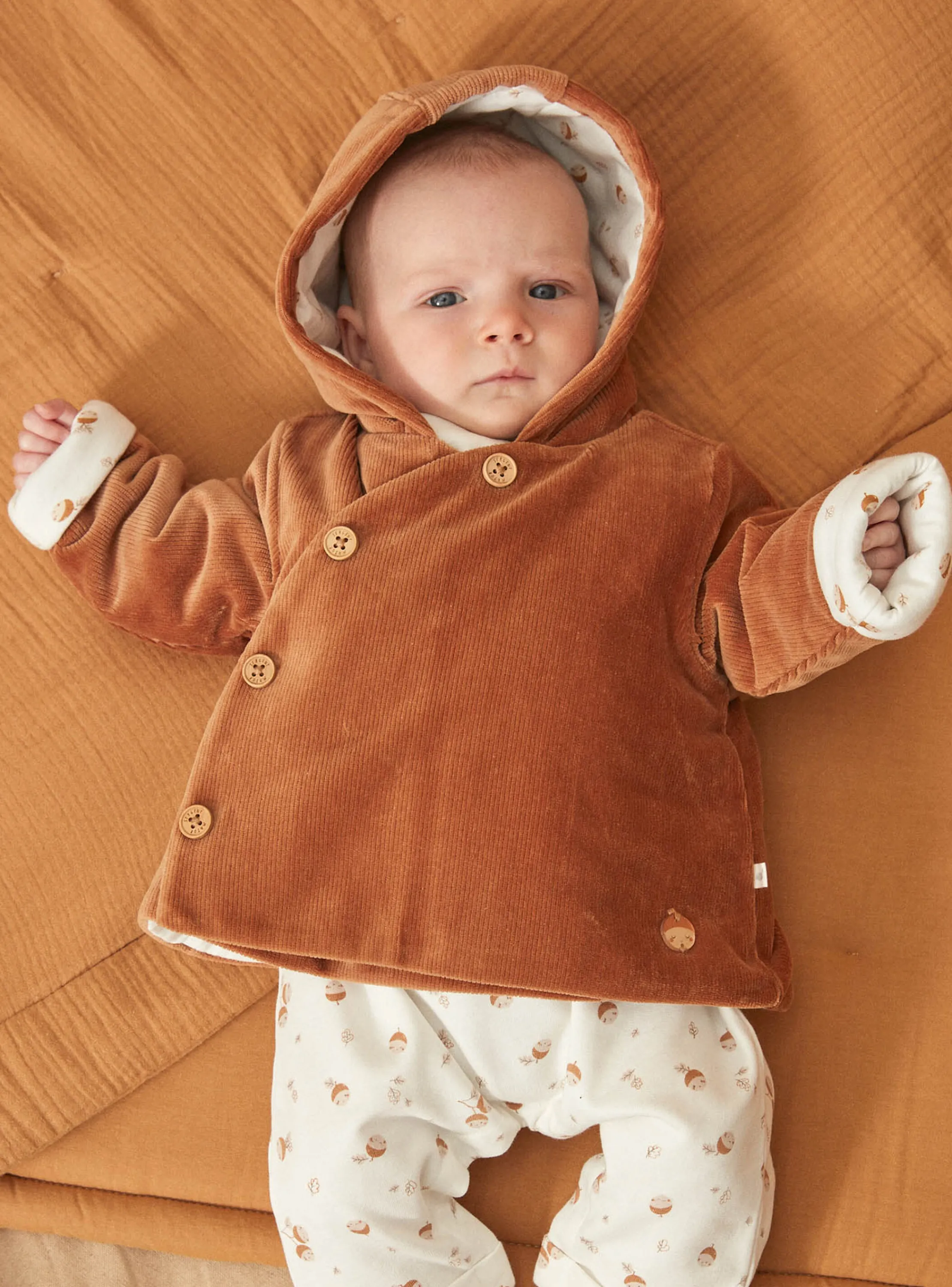 Outlet Sergent Major Caramel corduroy birth jacket