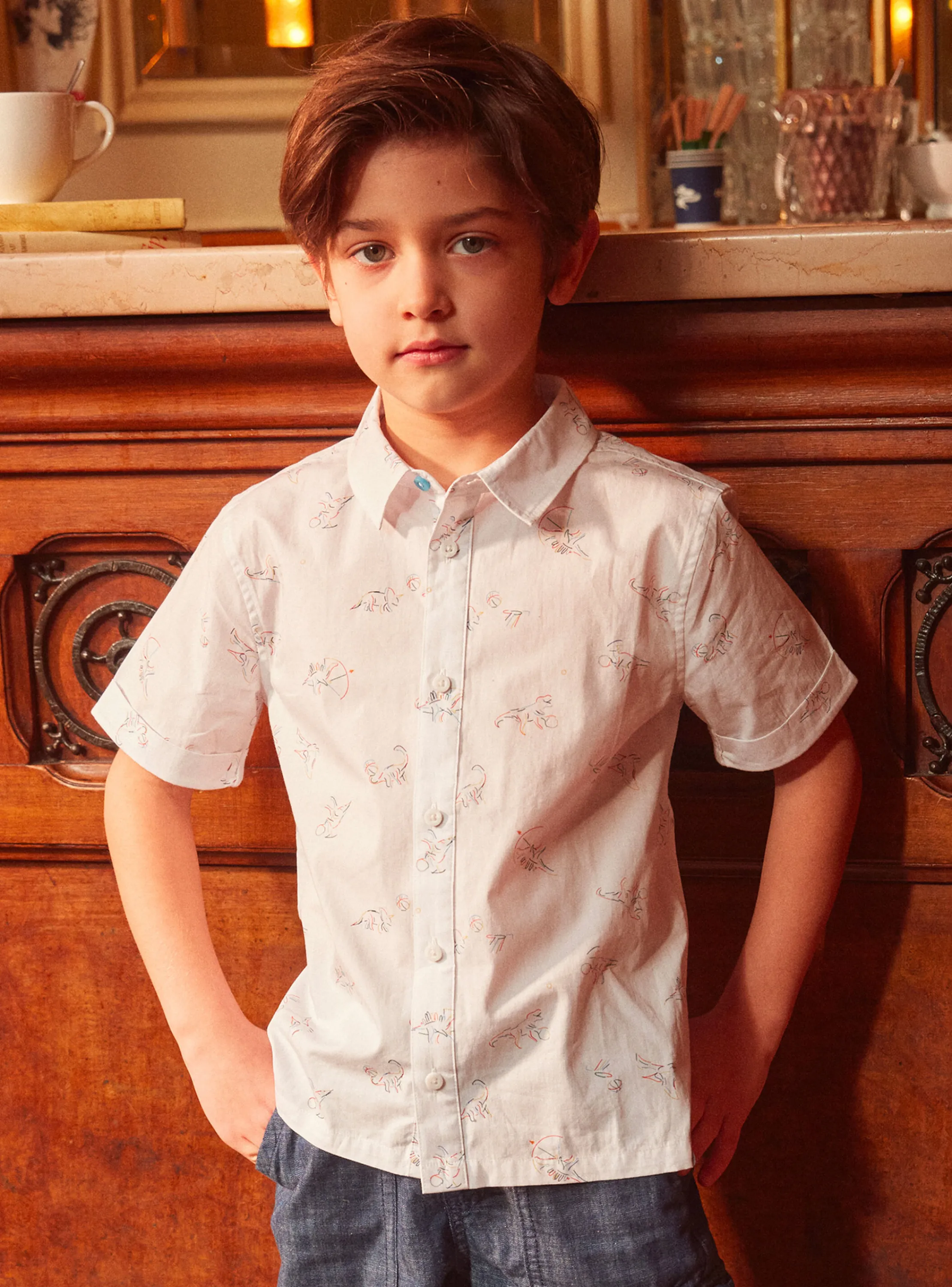 Best Sergent Major Dinosaur print shirt