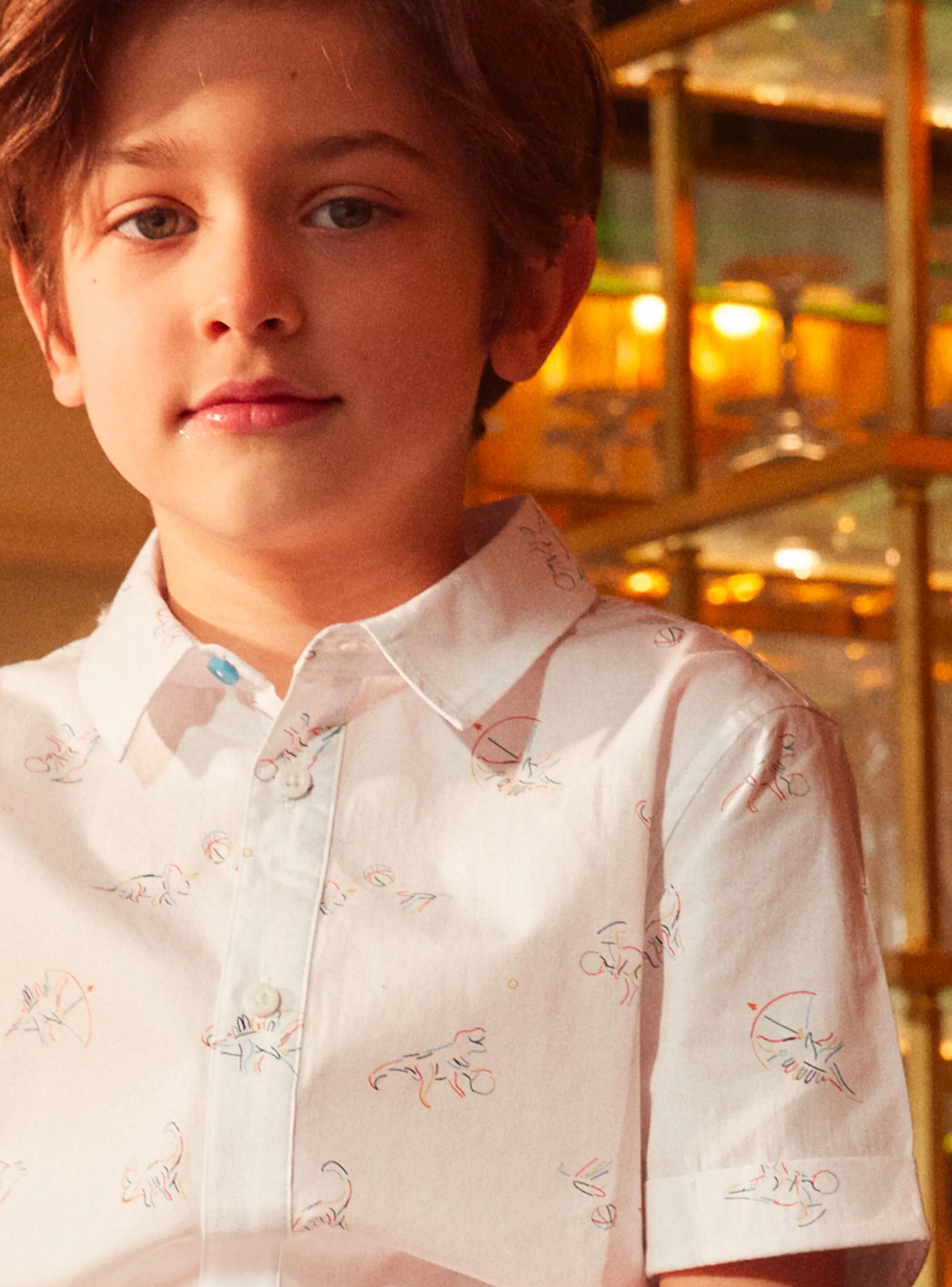 Best Sergent Major Dinosaur print shirt