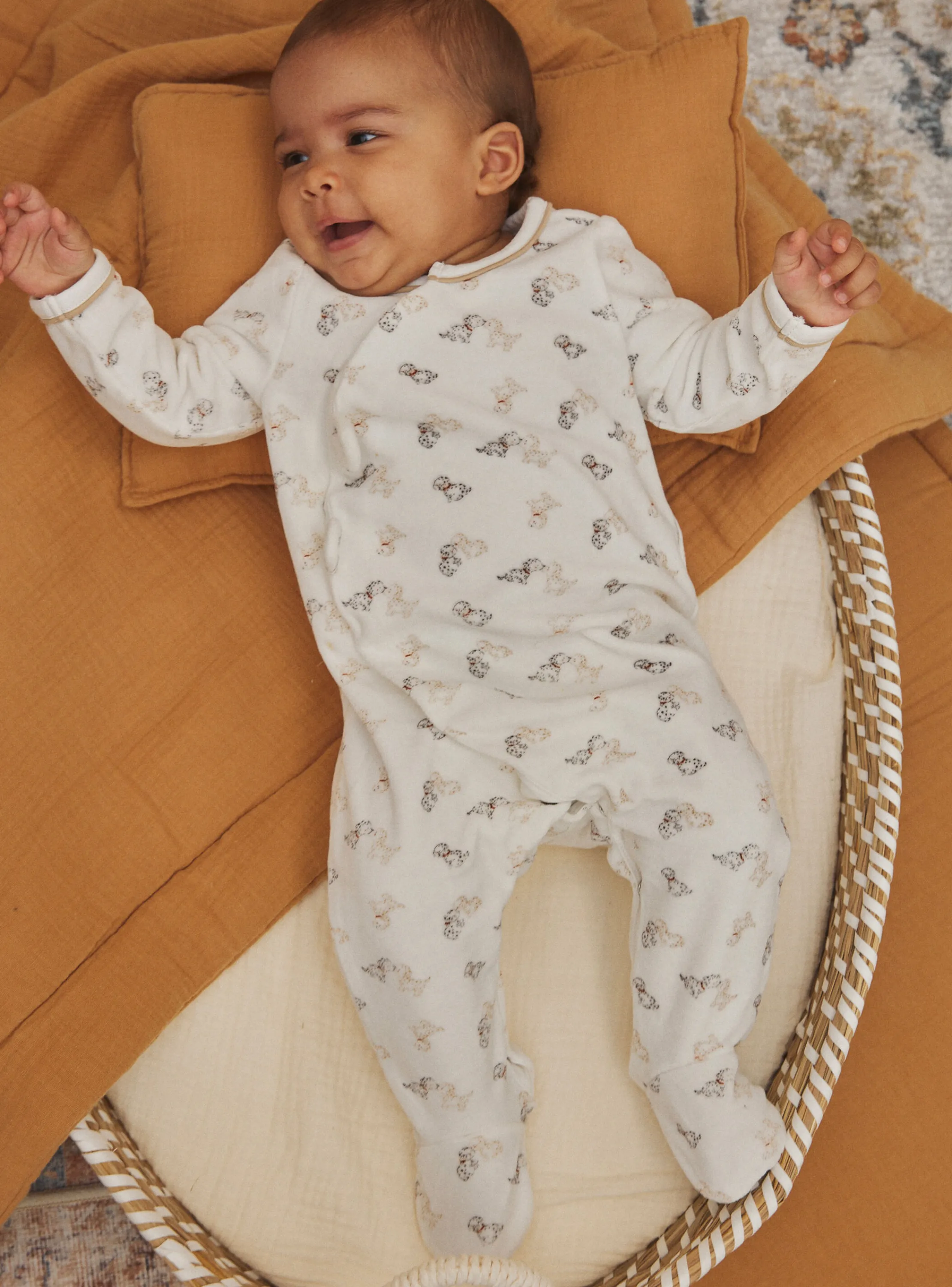 Online Sergent Major Ecru velvet pyjamas with Dalmatian print