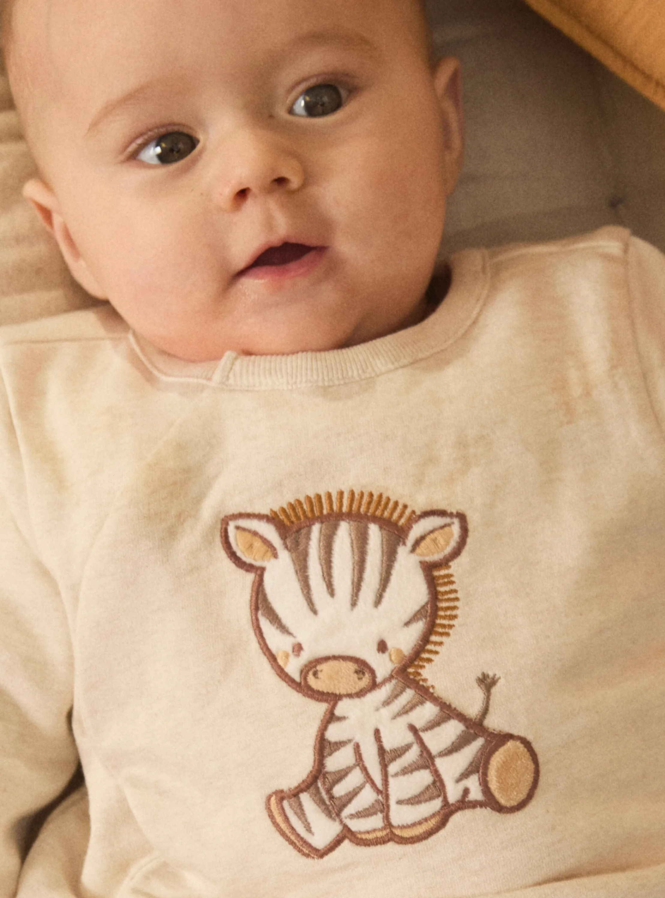 Clearance Sergent Major Heather beige SET